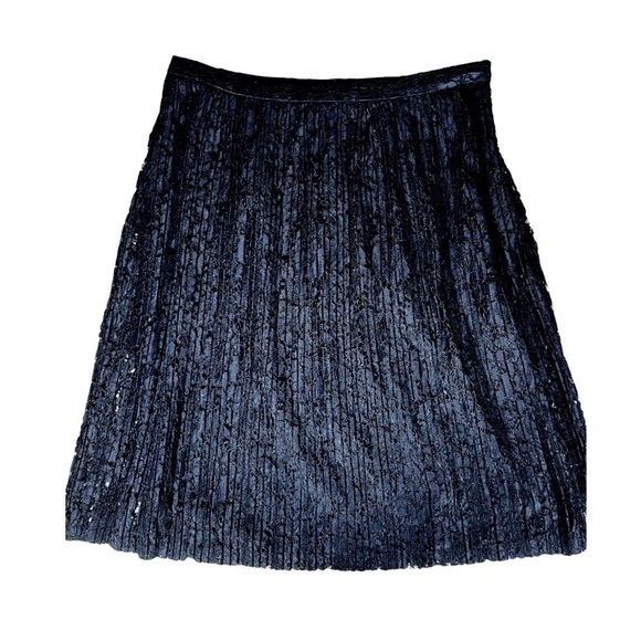 Banana Republic Dresses & Skirts - Banana Republic Black Lace Pleated Zip Up Classic Lined Midi Skirt Size 12